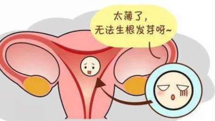 为什么做试管婴儿要先调理好子宫内膜？ 