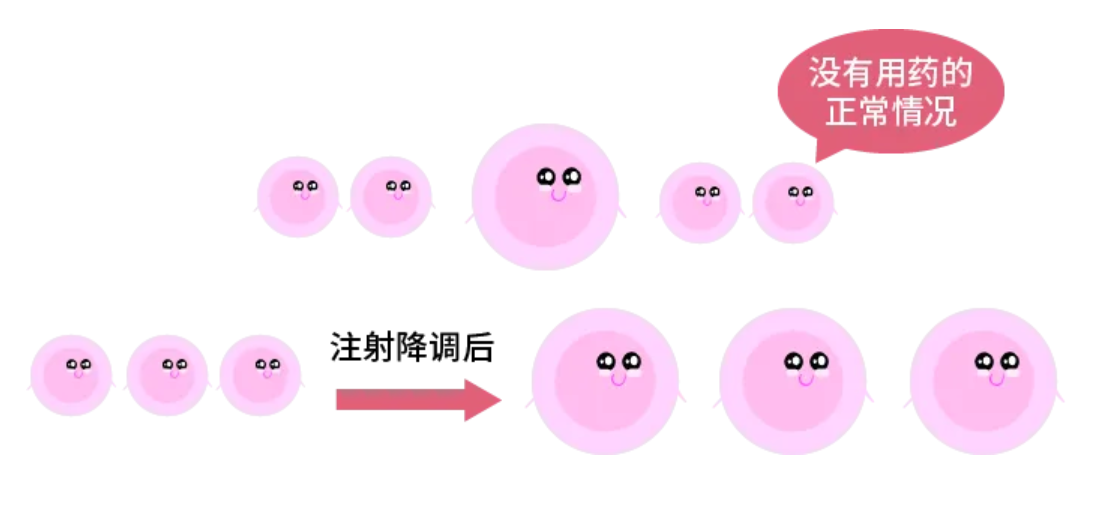 做试管中“降调节”是什么，究竟有多重要？