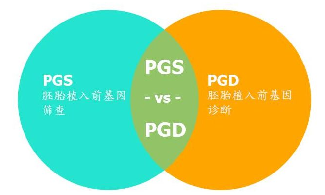 PGD与PGS有什么区别？