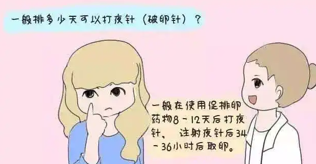 促排大部分生出来都是儿子吗？