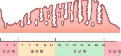 子宫内膜厚度对妊娠结局的影响