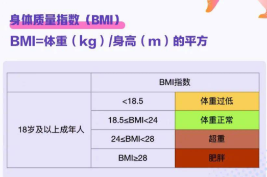 一胖毁所有，肥胖对试管有哪些影响？