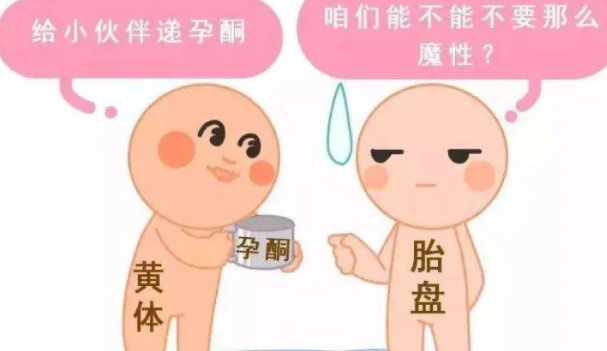 黄体酮在三代试管婴儿中究竟起到哪些作用?