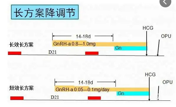 促排用长方案与短方案的区别在于用药时间不同？