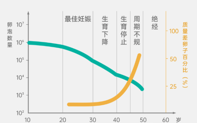 想要提升试管婴儿成功率，试管姐妹要警惕这5个方向