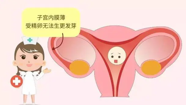 子宫内膜增厚能顺利移植怀孕呢？ 