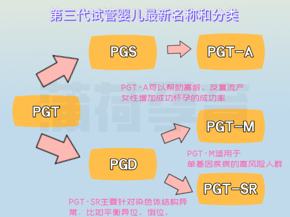 关于第三代试管婴儿，这5个问题必须要知道