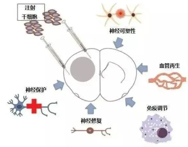 当试管碰上薄型子宫内膜怎么办？别慌！自有妙招！