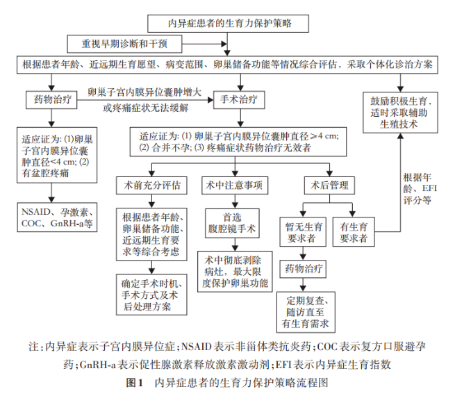 从2022版内异症最新指南找到—想要怀孕的这类姐妹，该采取什么样的策略？