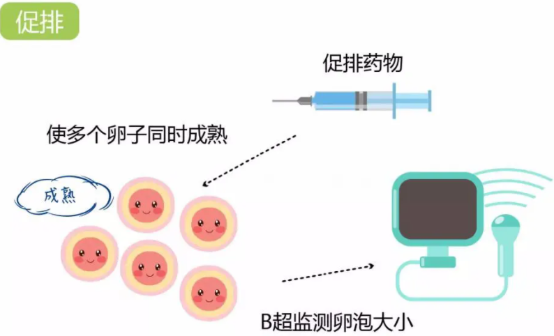 只取了3个卵泡做三代试管 能成功吗？