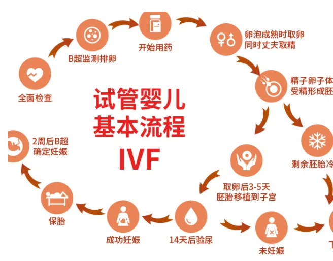 做三代试管婴儿的流程步骤和时间需要多久呢？