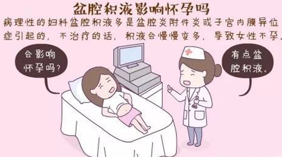 试管促排期间有盆腔积液 有生理性、病理性等原因