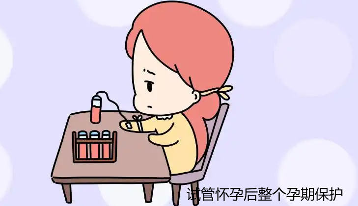 试管怀孕后整个孕期怎么保护