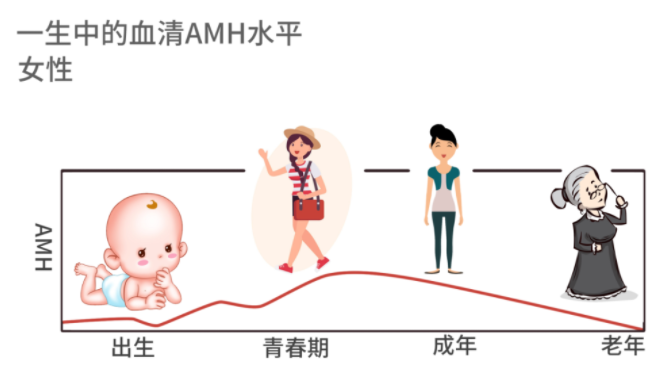 AMH值低，是自怀还是直接做试管呢？