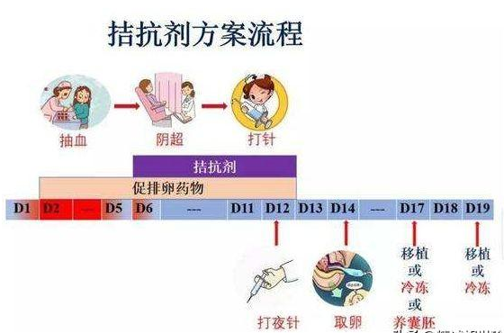 什么是拮抗剂方案？拮抗剂方案的利与弊